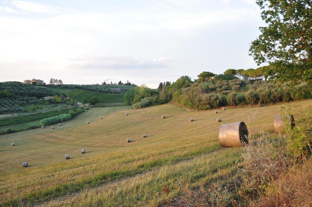 בארברינו די ואל ד'אלסה Agriturismo Podere Sertofano מראה חיצוני תמונה